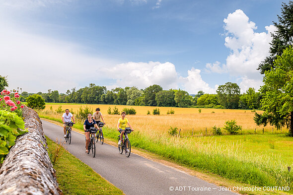 Personnes faisant du vélo dans les vignes 