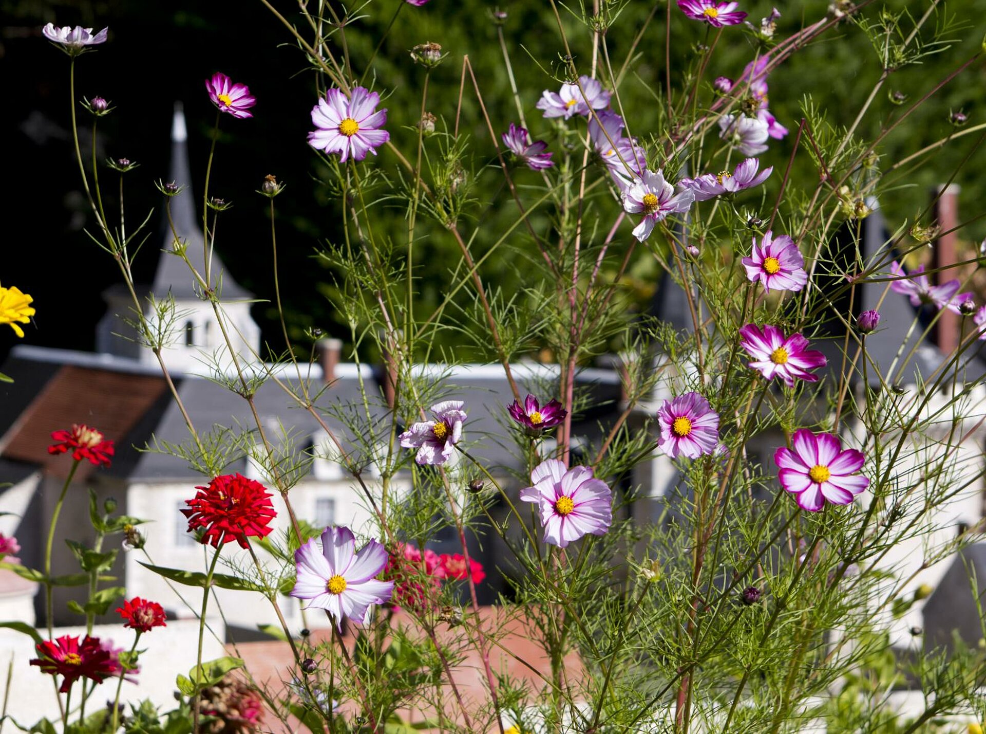 Jardin à l'anglaise