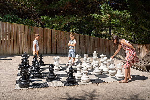 Echiquier géant mct